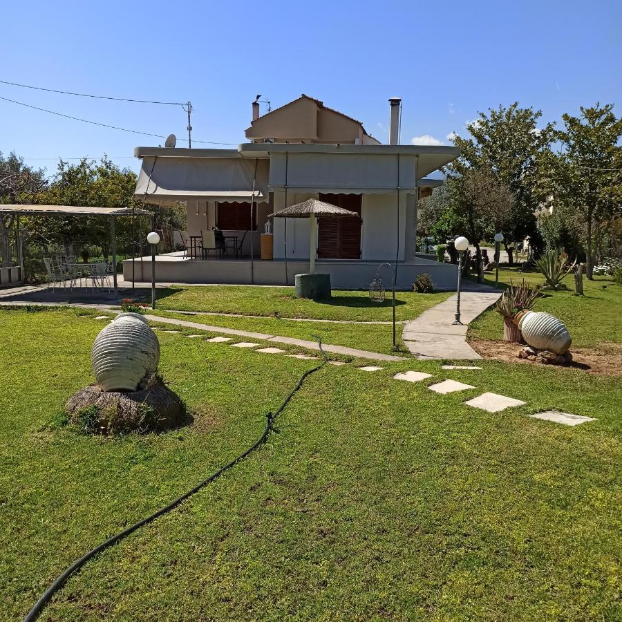 Vila Itea'S Garden House Kirra Exteriér fotografie